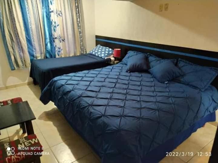 Hotel Vithez 탐피코 외부 사진