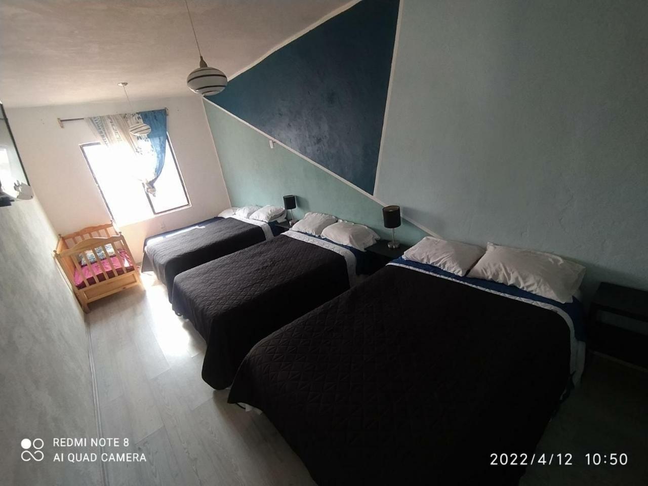 Hotel Vithez 탐피코 외부 사진
